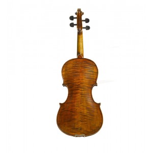 Stentor 1880A Arcadia Violin