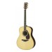 Yamaha LL16 Acoustic Electric Guitar with Gig Bag-Natural