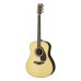 Yamaha LL16 Acoustic Electric Guitar with Gig Bag-Natural