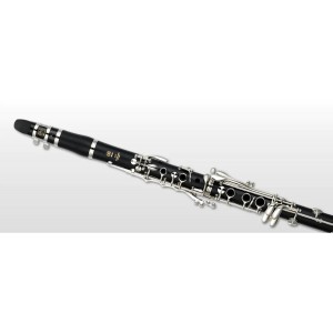Yamaha YCL-255 Flute