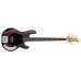 Sterling by Music Man Stingray RAY4 Bass Guitar - Walnut Satin