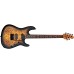 Sterling By Music Man Jason Richardson Signature Richardson6 Electric Guitar - Natural Poplar Burl Burst