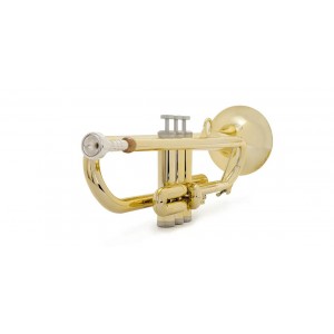 PBONE PTRUMPET HYTECH BB TRUMPET GOLD