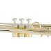 PBONE PTRUMPET HYTECH BB TRUMPET GOLD