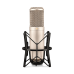 Rode K2 Multi-pattern Valve Condenser Microphone