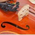 RODE - Violin Clip