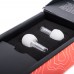 Vibes Hi-Fi Earplugs